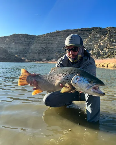 About Trout