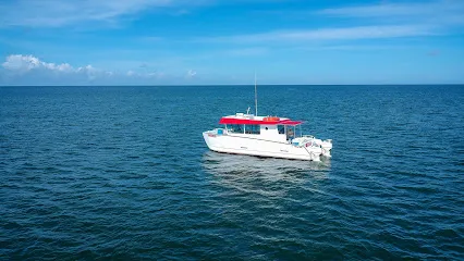 Alabama Charter Boat