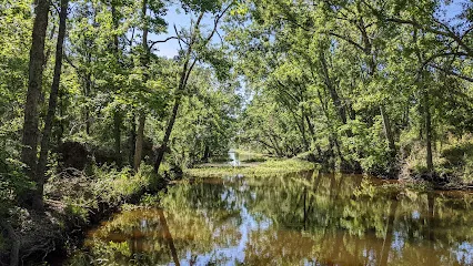 Barataria Canoe Launch