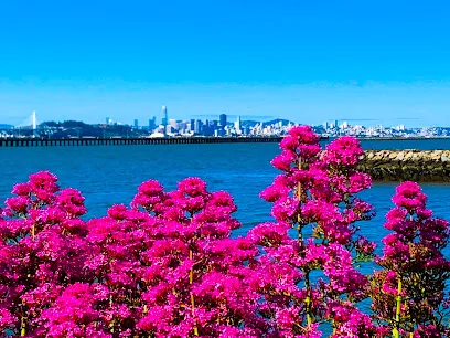 Berkeley Marina, Dock K