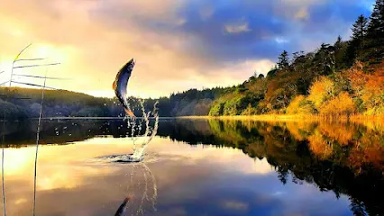 Branson Guided Fishing Trips