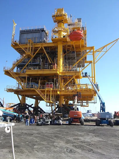 Brown Water Marine Services Inc