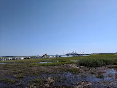 Cape May Inlet Marina