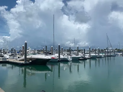 Crandon Park Marina