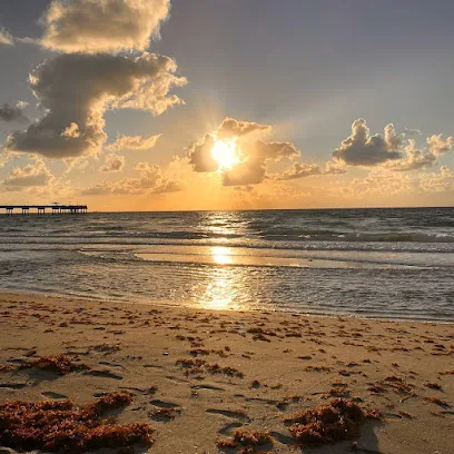 Dania Beach Marina