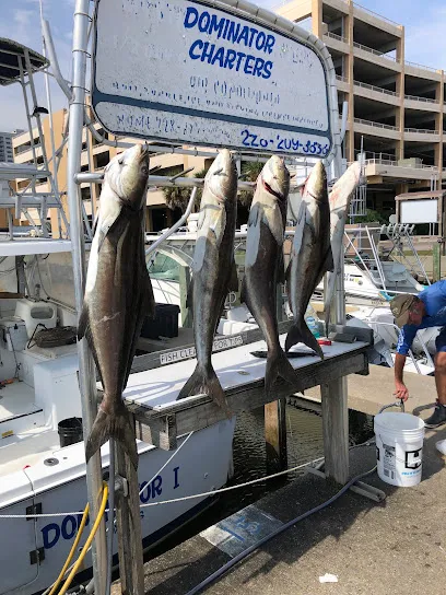 Dominator Fishing Charters LLC