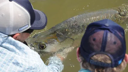 Everglades Guide Service