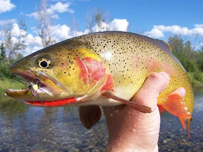 Fish The Fly Guide Service