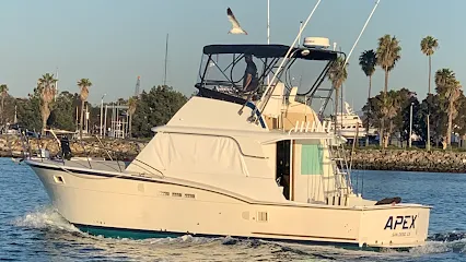 Fishing Charters Of San Diego