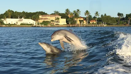 Florida Gulf Sea Fishing