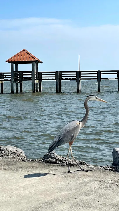 Fred Urie Pier(Municipal Fishing Pier)