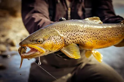 Gallatin River Guides