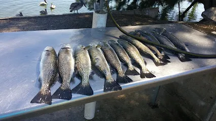 Gandy Boat Ramp