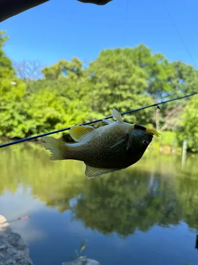 Gompers Park Fishing Area 1