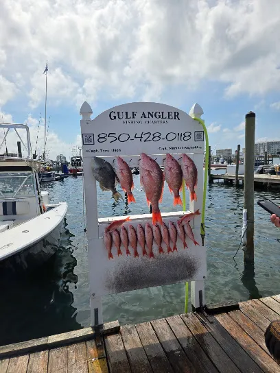 Gulf-Angler Fishing Charters