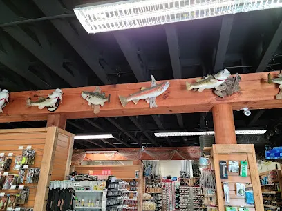Hammond's Fishing
