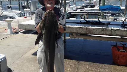 Heads N Scales Fishing Charters