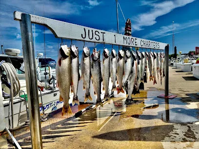 Just 1 More Lake Michigan Charter Fishing