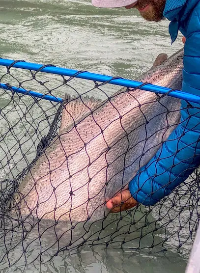 Kenai Drift Anglers