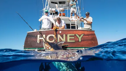 Kona Sea Adventures