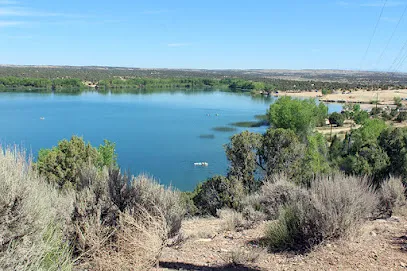 Lake Farmington