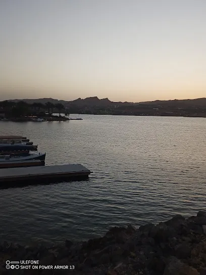 Lake Las Vegas Marina LLC