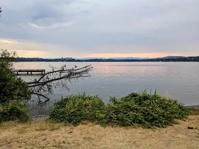 Lake Washington T Dock