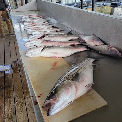 Little Jon's Texoma Striper Fishing Guide