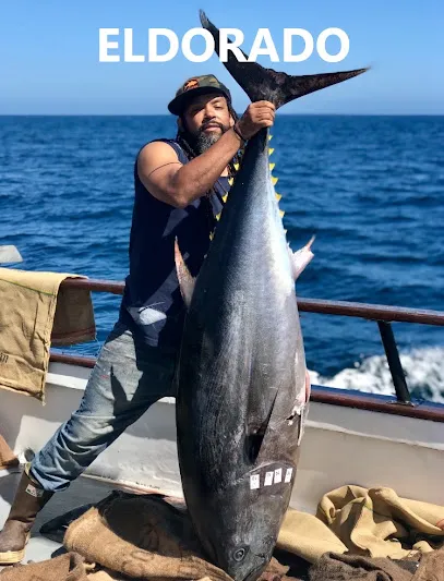 Long Beach Sportfishing, LLC (NEW WEBSITE CLICK WEBSITE ICON BELOW!)