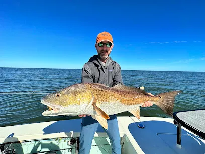 MarshOnTheFly