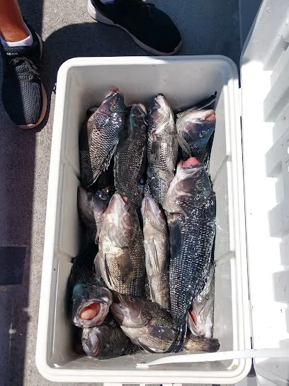 Morning Star Fishing