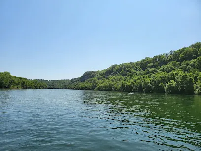 Norfork Resort and Trout Dock