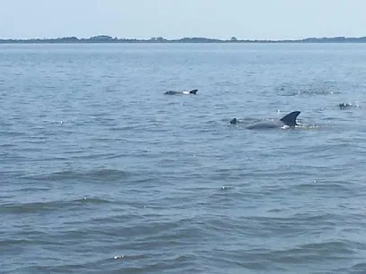OBX Crabbing & Shrimping Charters