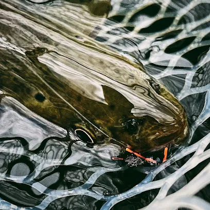 Park City Fly Fishing Guides