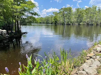 Peachtree Landing
