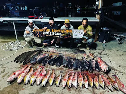 PREDATOR BOWFISHING