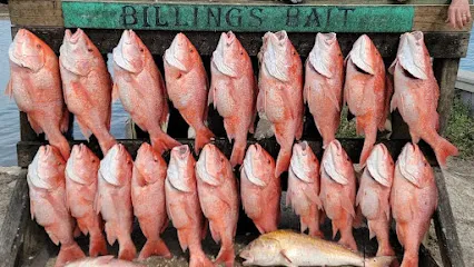 Reel Addiction Fishing Guide