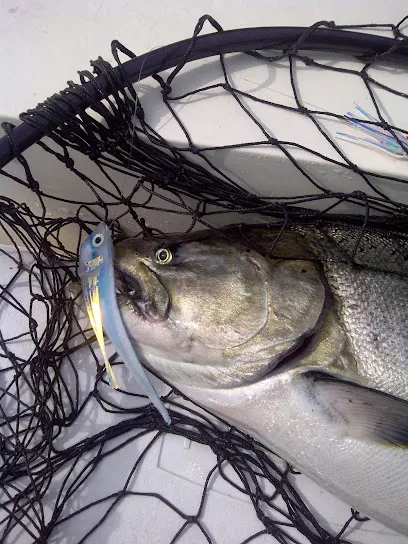 Reel Obsession Sport Fishing
