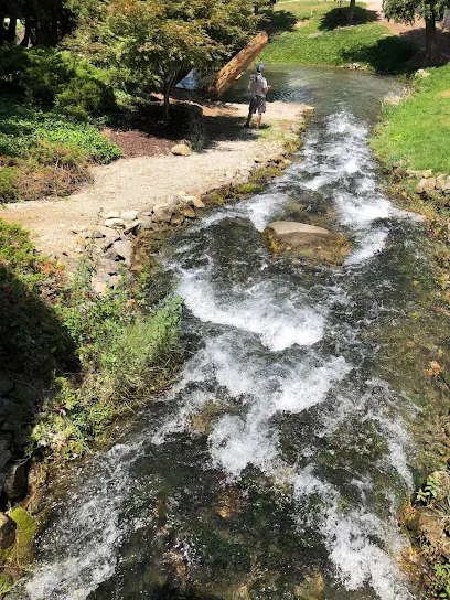 Rockwell Springs Trout Club