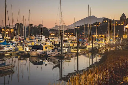 Safe Harbor Loch Lomond