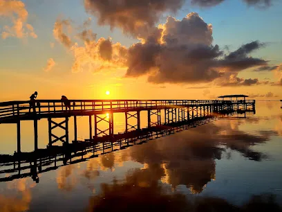 Safety Harbor City Marina