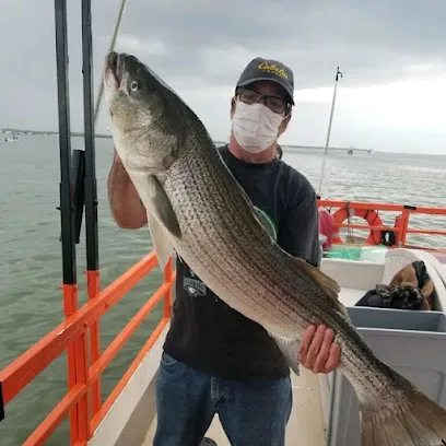 Sailor's Delight Back Bay Fishing