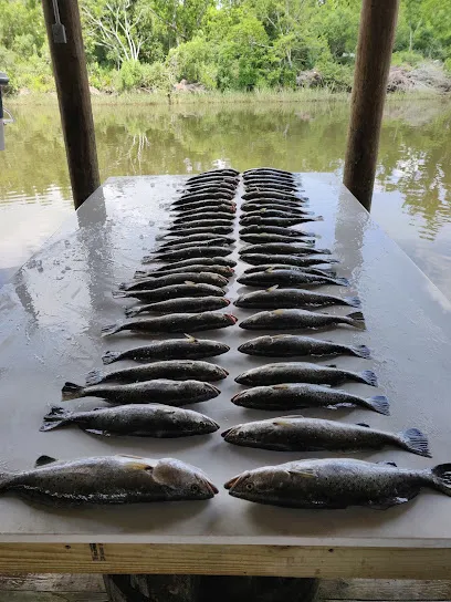 SaltWater Therapy Charters