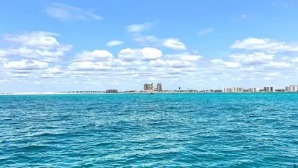Scallywag Charters, Inc.