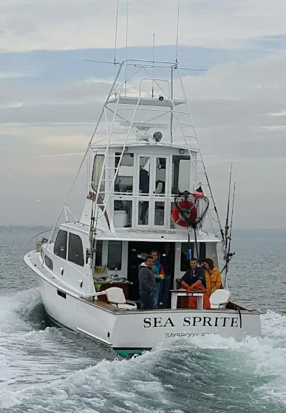 Sea Sprite Sport Fishing
