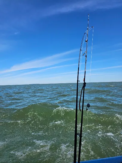 Shore Nuf Charters