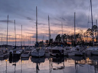 Sunrise Sailing