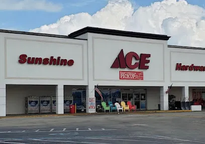 Sunshine Ace Hardware - San Carlos