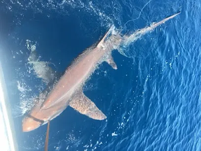 Taco Hooked Up Fishing Charters