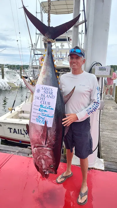 TailWrapped Sportfishing: Tuna Fishing Montauk, Shark Fishing, Charter Fishing, Fluke Fishing
